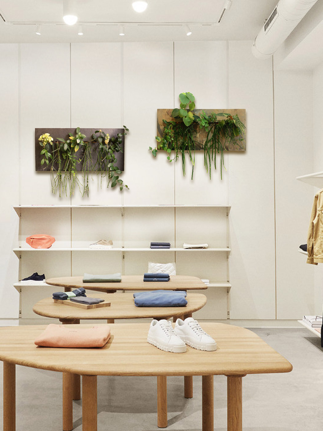 "Pflanzenbild interior Retail"